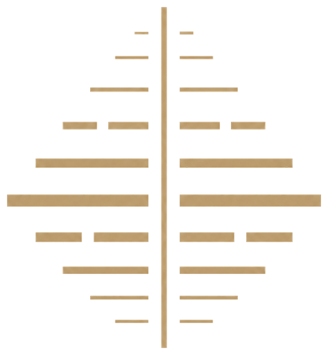 常识宋道